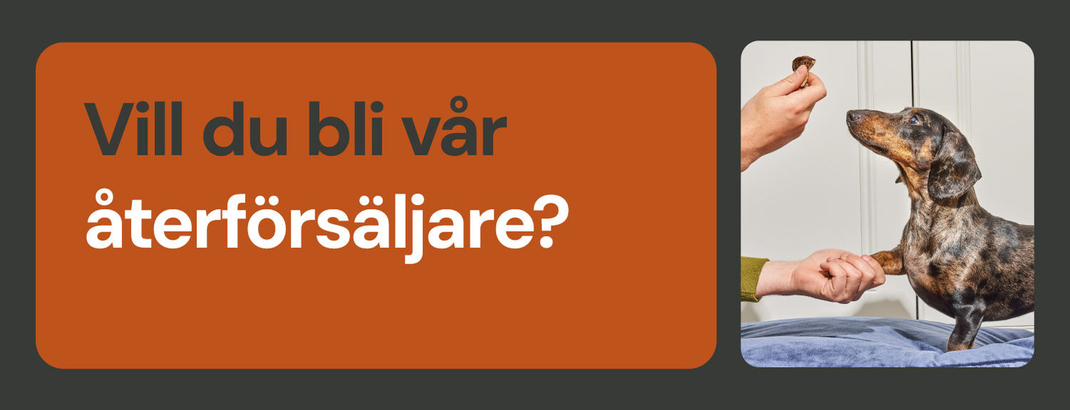 Vill du bli RAUH!-återförsäljare?